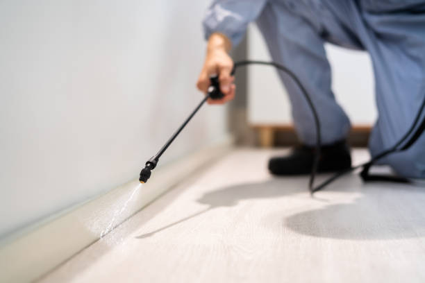 Licensed Cockroach Control service in Wauconda, IL - Nex Pest Control