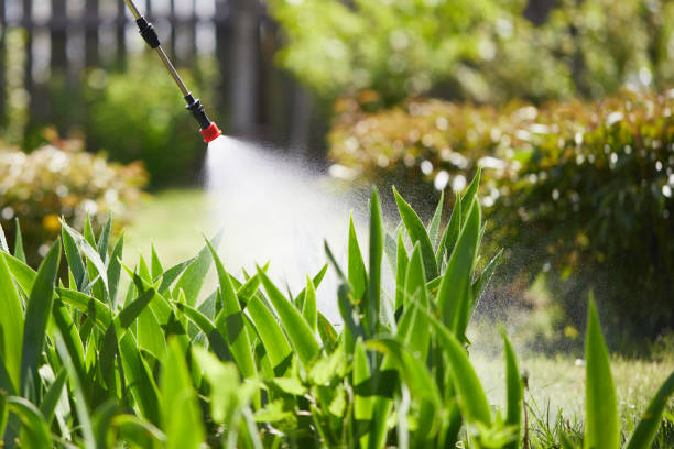 24/7 Emergency Cockroach Control experts in Wauconda, IL