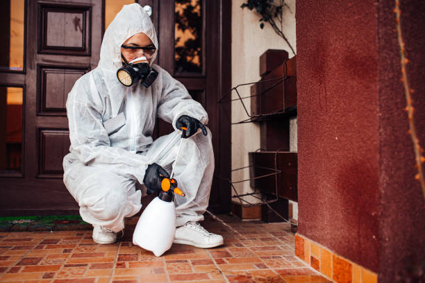 Reliable Cockroach Control contractor in Wauconda, IL by Nex Pest Control