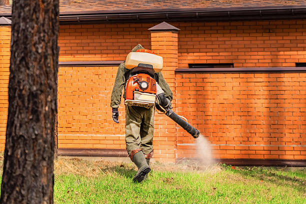Top rated local Cockroach Control specialists in Wauconda, IL